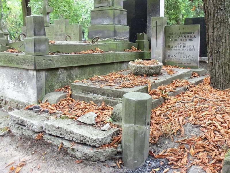 Zdjęcie grobu Janina Baniewicz (1)