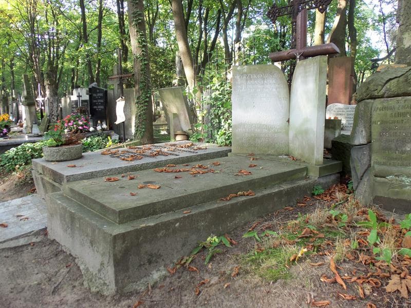 Zdjęcie grobu Halina Maria Wyrzykowska (1)