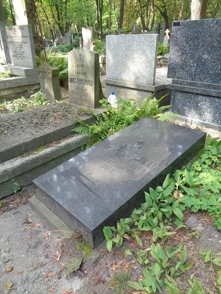 Zdjęcie grobu: Antoni Stzreszewski