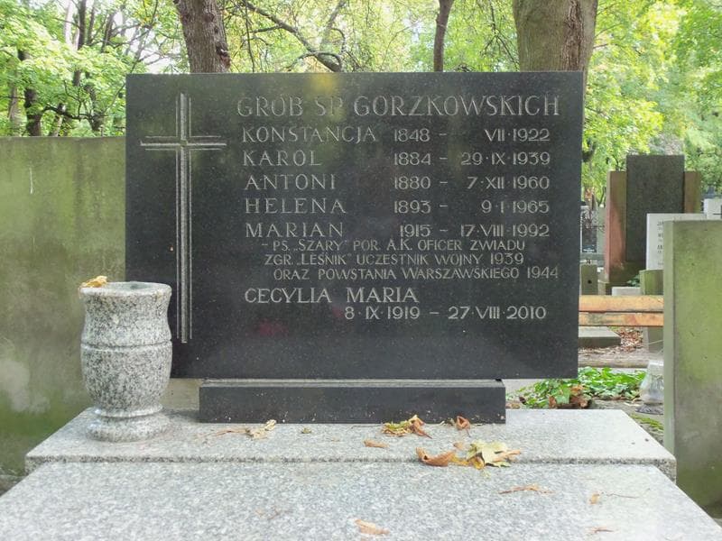 Zdjęcie grobu Antoni Gorzkowski (2)