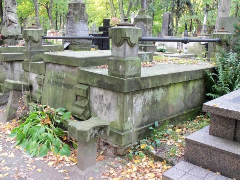 Zdjęcie grobu Aleksandrowiczowie (1)