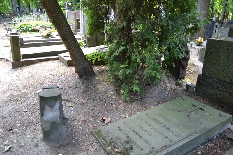 Zdjęcie grobu: Wacław Zedler