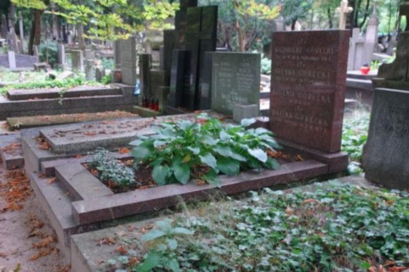 Zdjęcie grobu Halina Górecka (1)