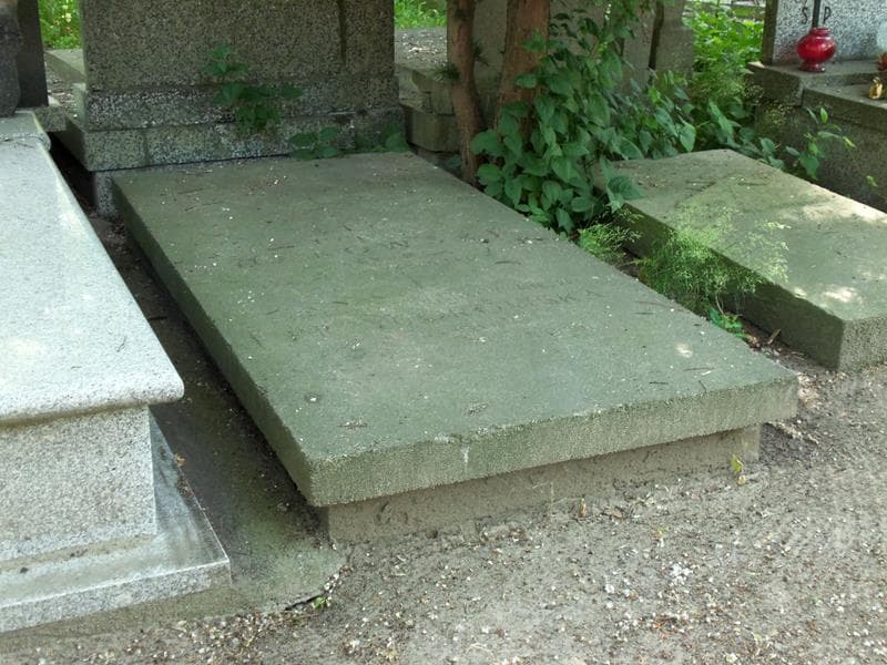 Zdjęcie grobu Tytus Makowski (1)