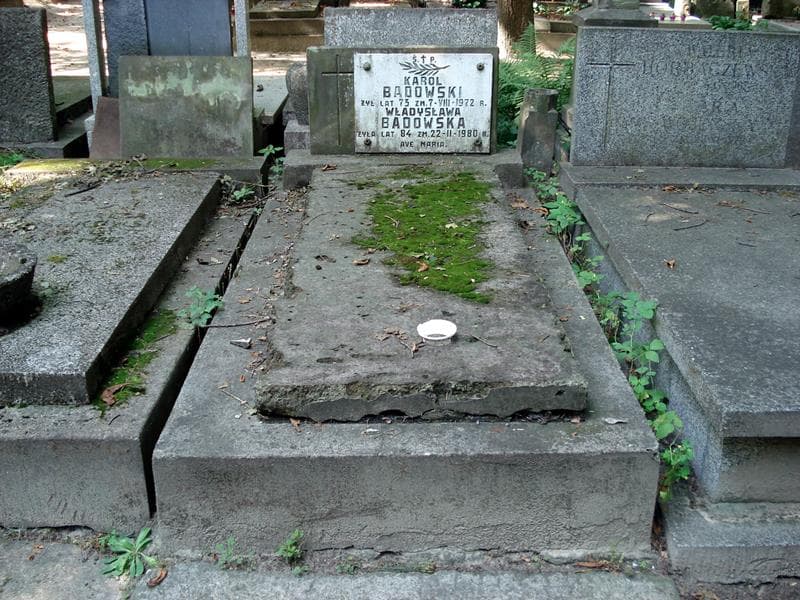 Zdjęcie grobu Karol Badowski (1)