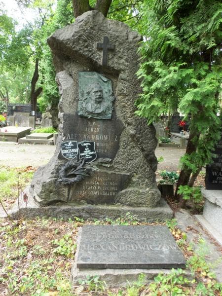 Zdjęcie grobu Zofja Alexandrowicz (1)