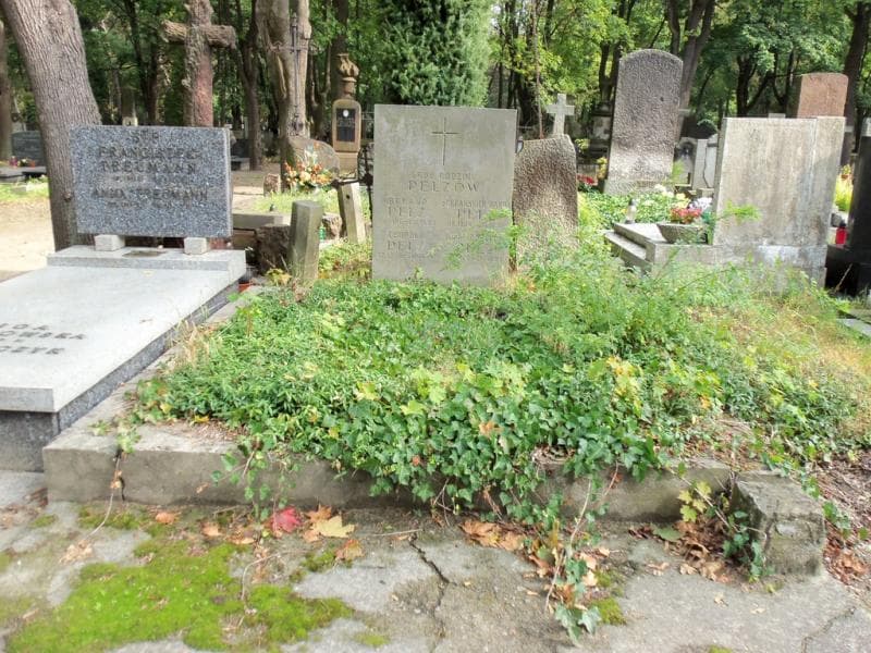 Zdjęcie grobu: Leopold Pelz