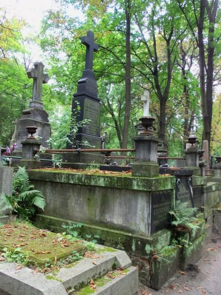 Zdjęcie grobu Wincenty Studziński (1)