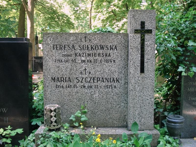 Zdjęcie grobu Maria Szczepaniak (2)