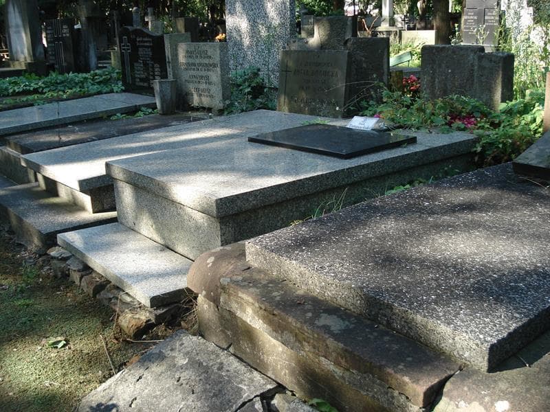 Zdjęcie grobu Henryk Tomaszewski (2)