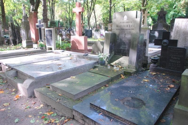 Zdjęcie grobu Ludwik Olszewski (1)