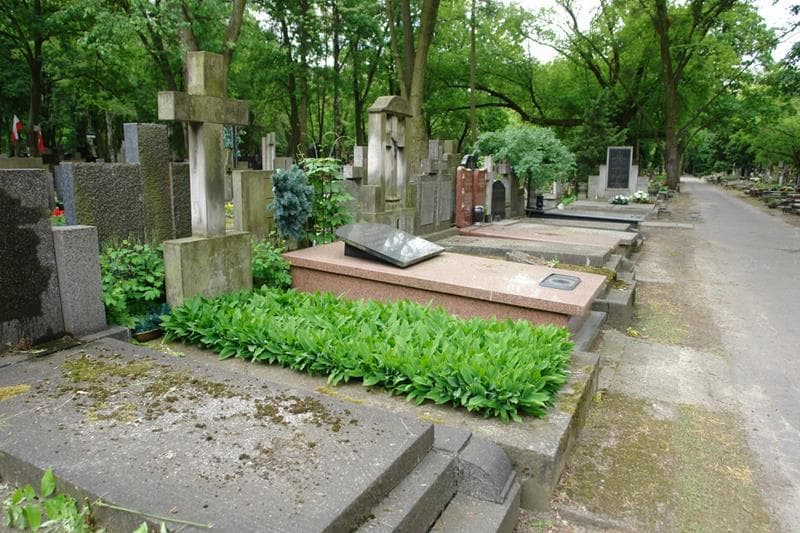 Zdjęcie grobu: Jerzy Majewski