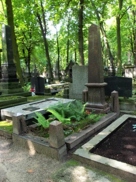 Zdjęcie grobu Józef Luck (2)