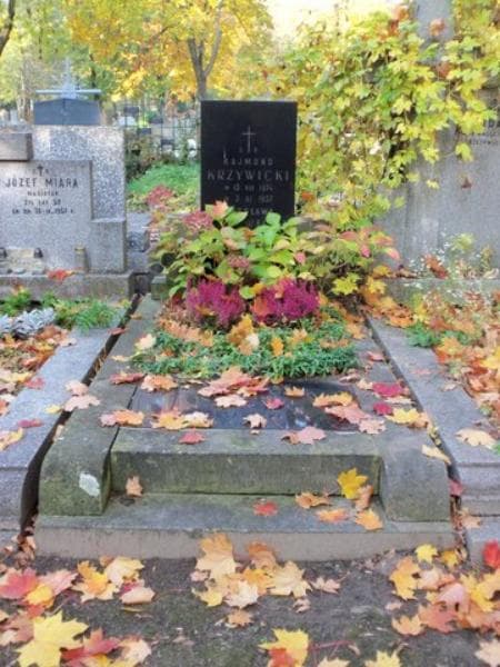 Zdjęcie grobu: Zdzisław Krzywicki