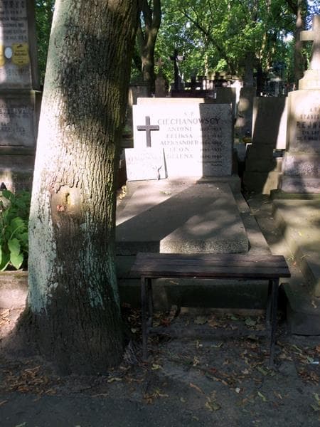 Zdjęcie grobu Aleksander Ciechanowski (1)