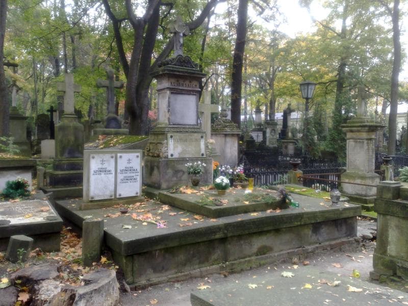 Zdjęcie grobu: Faustyna Kulewska