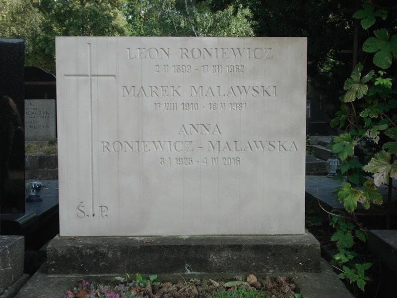 Zdjęcie grobu Marek Malawski (2)