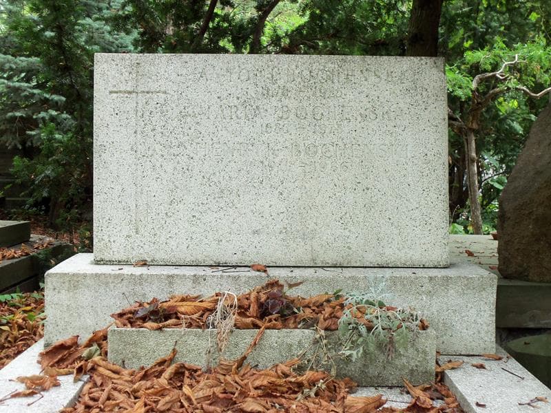 Zdjęcie grobu Henryk Bocheński (2)