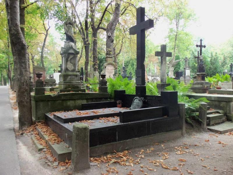 Zdjęcie grobu Stefanja Olszowska (1)