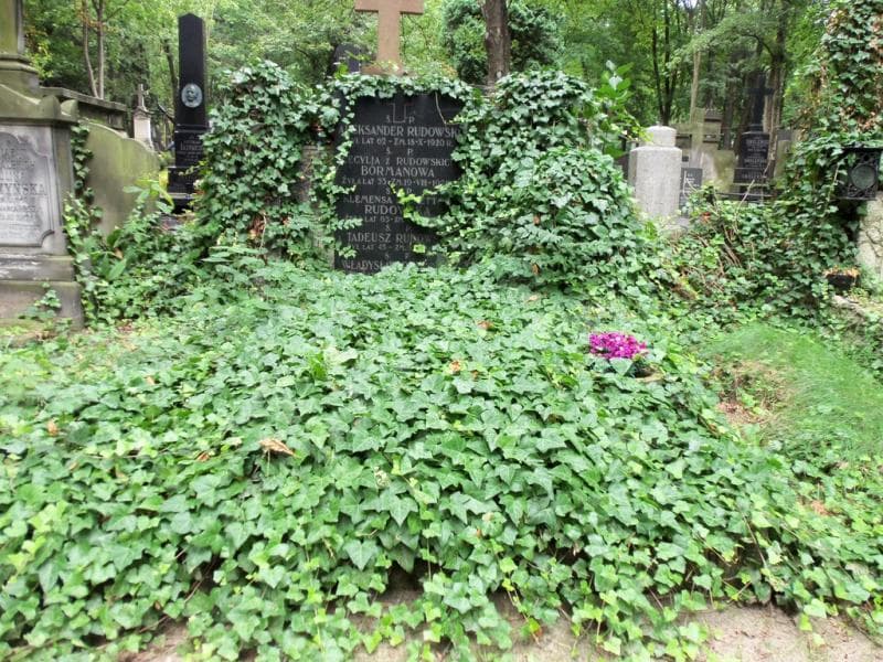Zdjęcie grobu: Cecylia Bormanowa
