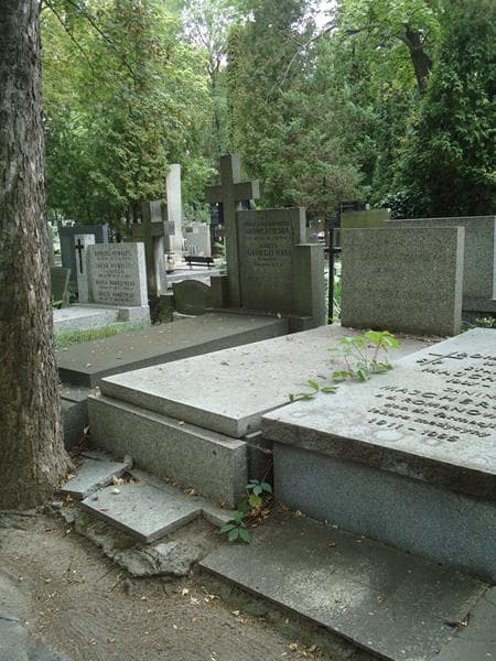 Zdjęcie grobu Kazimierz Tomczak (1)