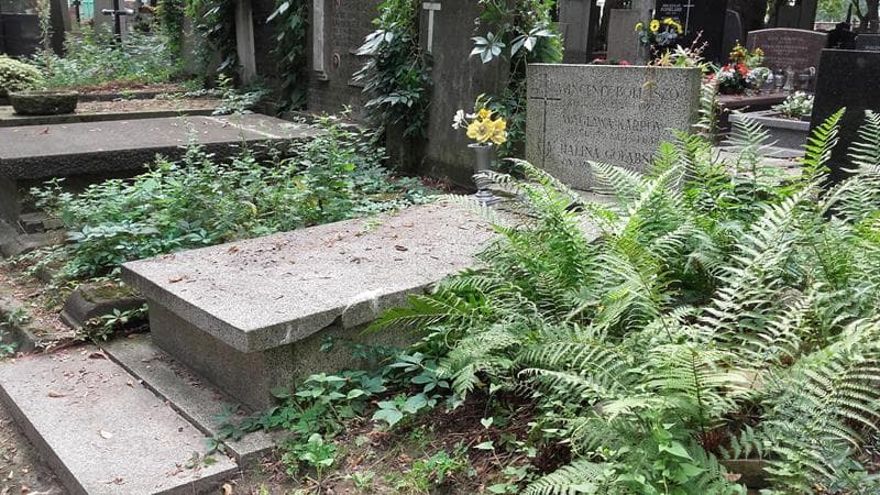 Zdjęcie grobu: Zdzisław Gołąbski