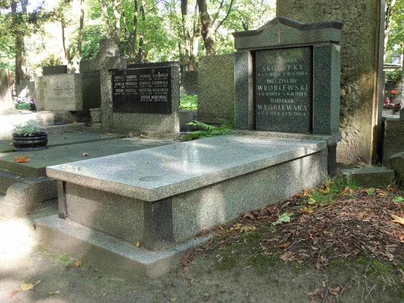Zdjęcie grobu Mieczysław Wróblewski (1)