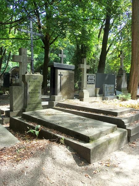 Zdjęcie grobu Julja Jarzembińska (1)