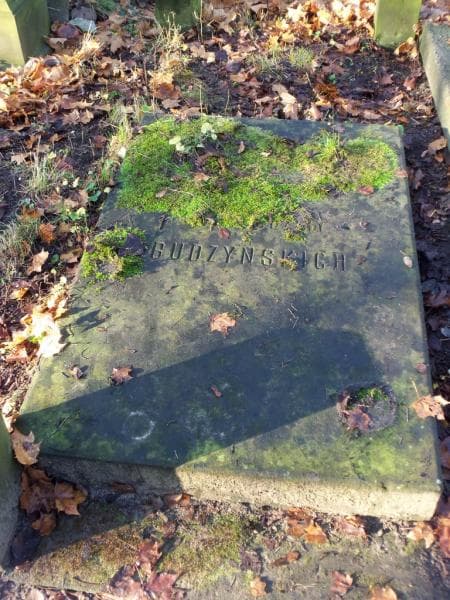 Zdjęcie grobu Budzyńscy (2)
