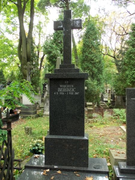Zdjęcie grobu Wojciech Dziedzic (2)