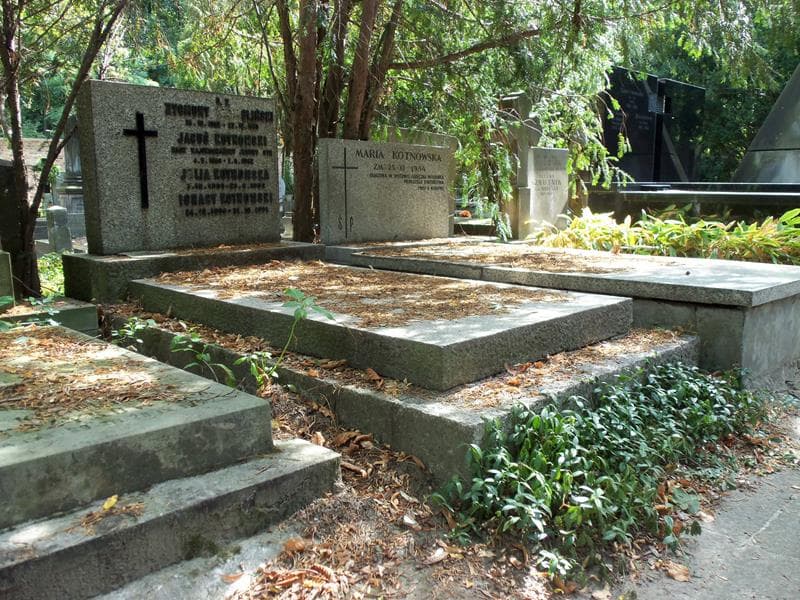 Zdjęcie grobu Zygmunt Zabiegliński (1)