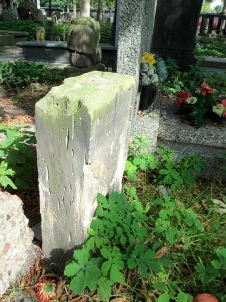 Zdjęcie grobu Aleksandra Kozłowska (2)