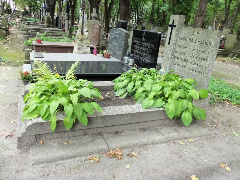 Zdjęcie grobu Stanisław Malewski (1)
