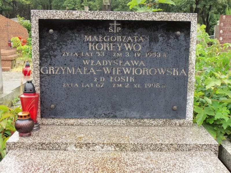 Zdjęcie grobu Władysława Grzymała-Wiewiorowska (2)