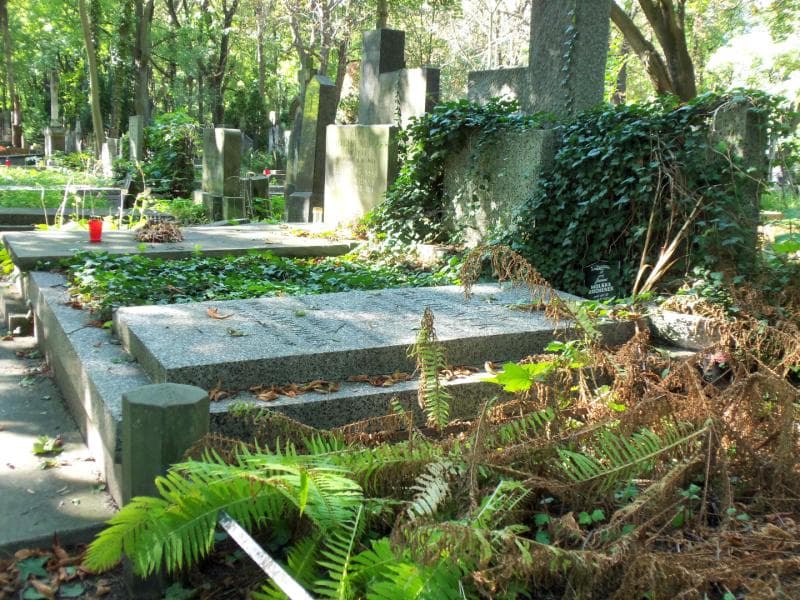 Zdjęcie grobu Janina Wolska-Bochenek (1)