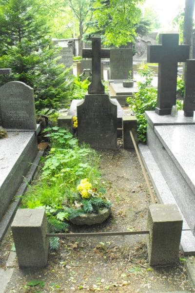 Zdjęcie grobu: Feliks Tokarski