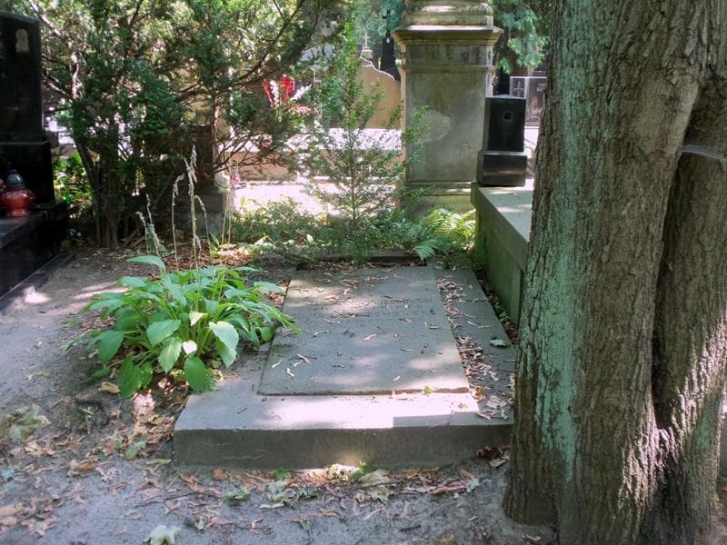 Zdjęcie grobu August Woyciechowski (1)