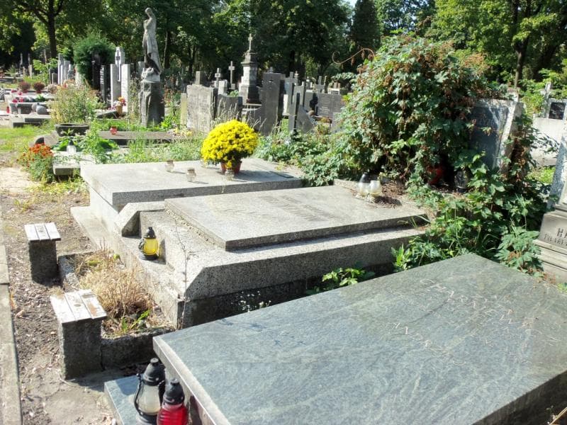 Zdjęcie grobu Stanisław Drzyzga (1)