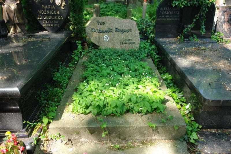 Zdjęcie grobu Bogusz Bilewski (1)