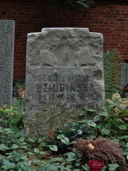 Zdjęcie grobu Eugenja Dziubińska (2)