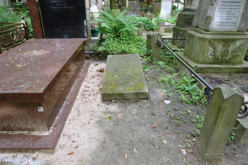 Zdjęcie grobu Julian Trzciński (1)