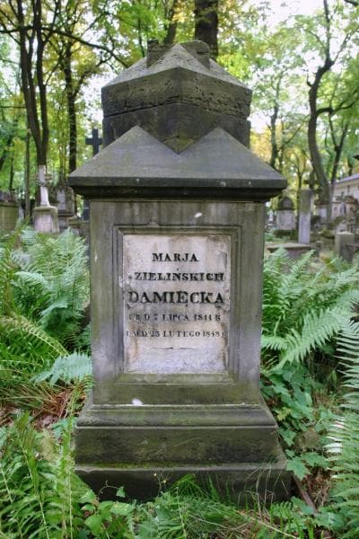 Zdjęcie grobu Marja Damięcka (2)