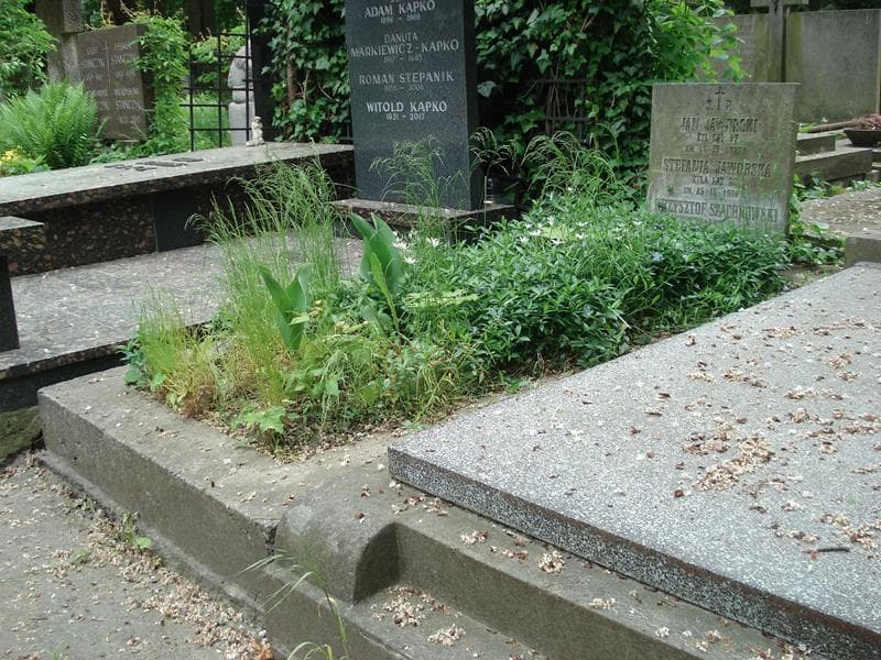 Zdjęcie grobu Stefania Jaworska (1)
