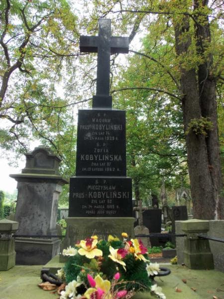 Zdjęcie grobu Zofia Kobylińska (2)
