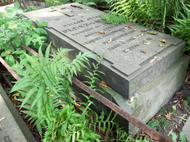 Zdjęcie grobu Józef Pleszowski (1)