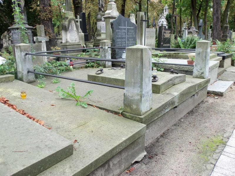Zdjęcie grobu Krzyżanowscy (1)