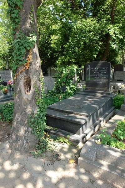 Zdjęcie grobu Maria Jaskulska (1)