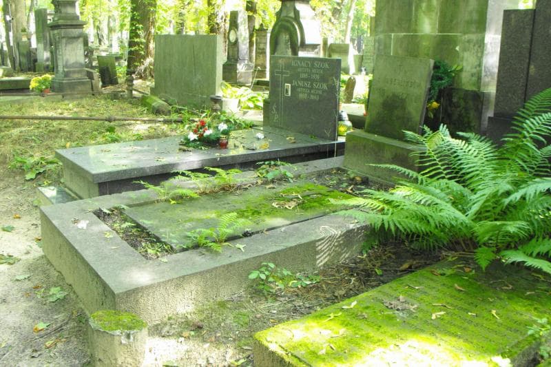 Zdjęcie grobu Marja Haberling (2)