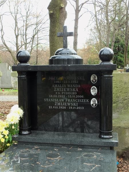 Zdjęcie grobu Stanisław Franciszek Żmijewski (2)