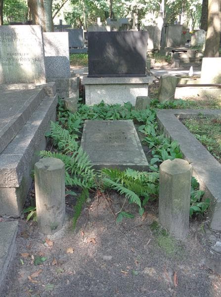 Zdjęcie grobu Juljan Dziwołowicz (1)